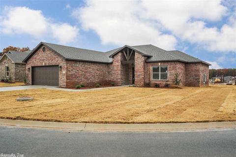 60 Fletcher Dr, Austin, AR 72007 photo 2