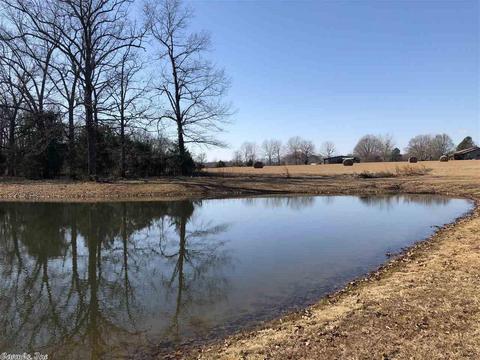 541 Covington Rd, Ward, AR 72176 photo 35