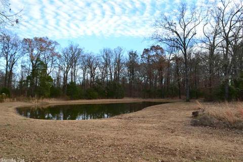 541 Covington Rd, Ward, AR 72176 photo 27