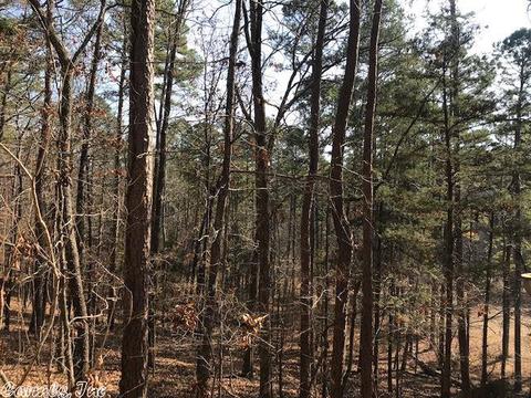 85 Harbor Oaks Ln, Mount Ida, AR 71957 photo 6