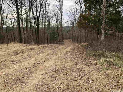 2090 Sunny Slope Rd, Edgemont, AR 72067 photo 4