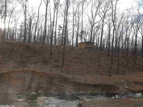 24 Gap Creek Rd, Mount Ida, AR 71957 photo 22