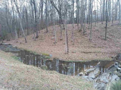 24 Gap Creek Rd, Mount Ida, AR 71957 photo 14
