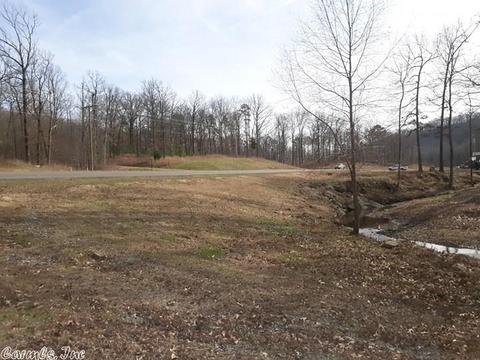24 Gap Creek Rd, Mount Ida, AR 71957 photo 13