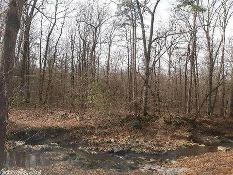 24 Gap Creek Rd, Mount Ida, AR 71957 photo 15