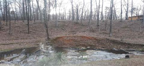 24 Gap Creek Rd, Mount Ida, AR 71957 photo 23