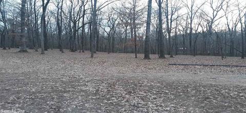 5839 Hwy 270 E, Mount Ida, AR 71957 photo 24