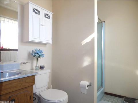 238 Gore Rd, Horatio, AR 71842 photo 13