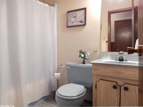 238 Gore Rd, Horatio, AR 71842 photo 9
