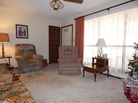 238 Gore Rd, Horatio, AR 71842 photo 4