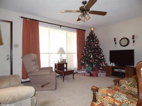 238 Gore Rd, Horatio, AR 71842 photo 3
