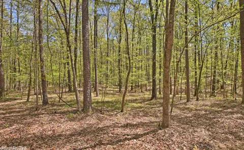 150 Crestwood Dr, Mount Ida, AR 71957 photo 21