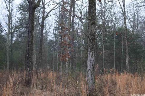 105 Davis, Romance, AR 72136 photo 3