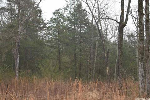 105 Davis, Romance, AR 72136 photo 2