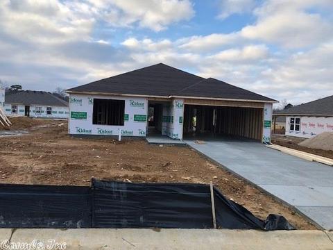 6208 Milsap Dr, Alexander, AR 72002 photo 1