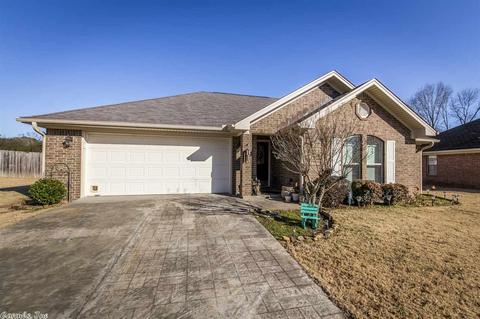 58 Gregory Dr, Conway, AR 72032 photo 32