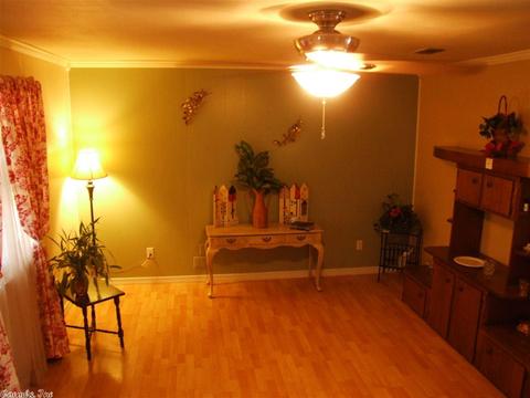 1010 Texas St, Mena, AR 71953 photo 5