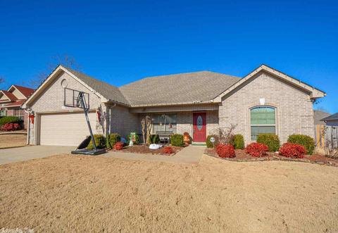 4205 Brandy Dr, Benton, AR 72015 photo 32