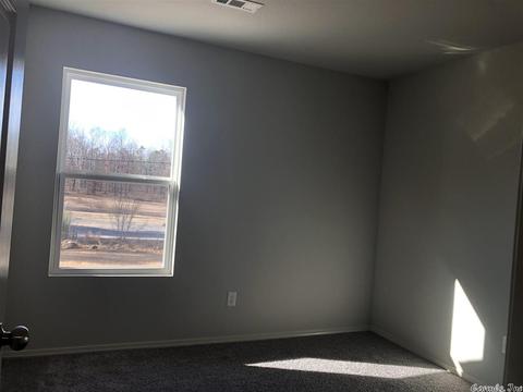 6281 Saddle Hill Dr, Alexander, AR 72002 photo 13