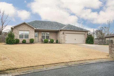 16 Mulberry, Ward, AR 72176 photo 3