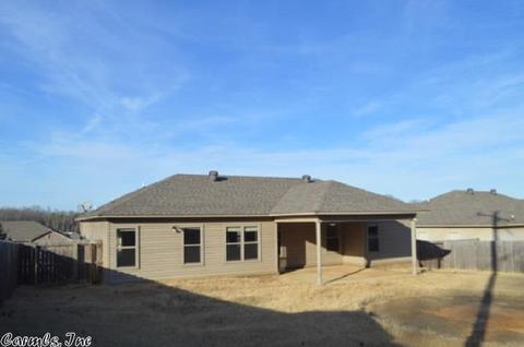 12 Winchester Dr, Austin, AR 72176 photo 19