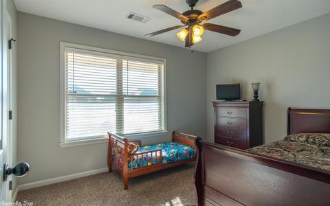 706 Mango Loop, Austin, AR 72007 photo 14