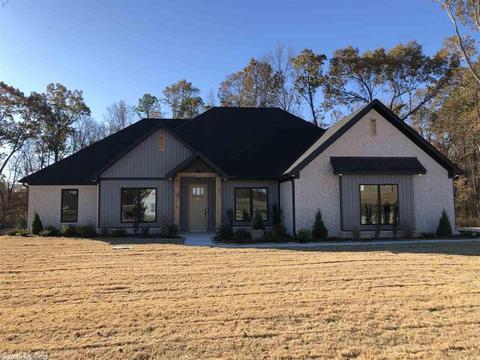 10121 Sanibel Loop, Alexander, AR 72002 photo 1