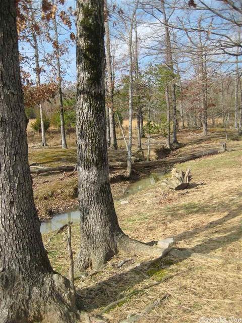 159 Moon Beam Ln, Mena, AR 71953 photo 21