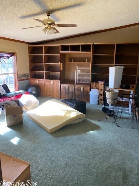 395 Hwy 64, Conway, AR 72032 photo 8