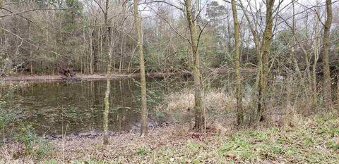 4106 Hwy 88 E, Mena, AR 71953 photo 39