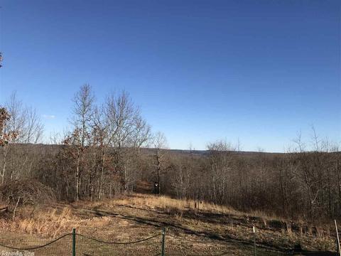 604 Holmes Rd, Mountain View, AR 72560 photo 2