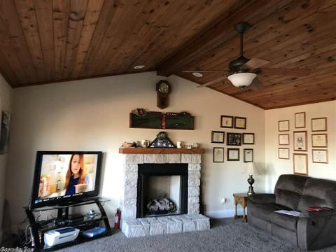 604 Holmes Rd, Mountain View, AR 72560 photo 5