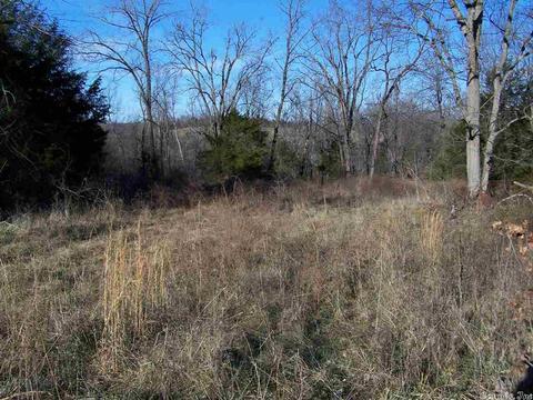 2173 Punkin Flat Rd, Marshall, AR 72650 photo 21