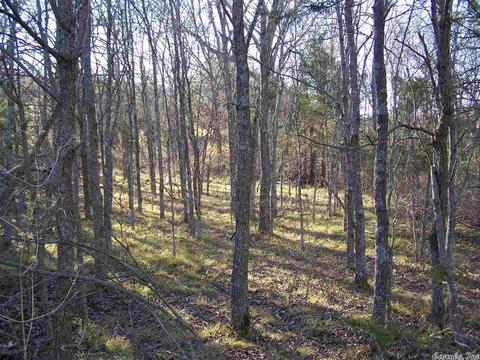 2173 Punkin Flat Rd, Marshall, AR 72650 photo 8