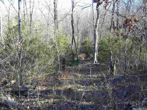 2173 Punkin Flat Rd, Marshall, AR 72650 photo 13