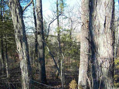 2173 Punkin Flat Rd, Marshall, AR 72650 photo 3