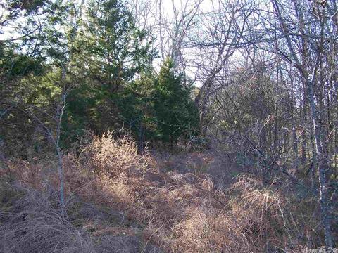 2173 Punkin Flat Rd, Marshall, AR 72650 photo 23