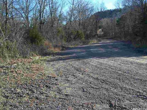 2173 Punkin Flat Rd, Marshall, AR 72650 photo 19