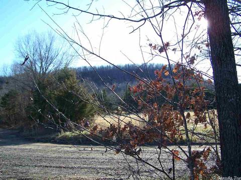 2173 Punkin Flat Rd, Marshall, AR 72650 photo 6
