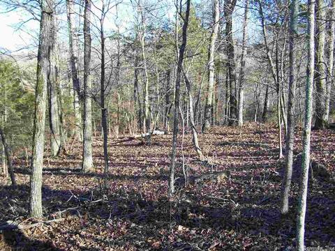 2173 Punkin Flat Rd, Marshall, AR 72650 photo 4
