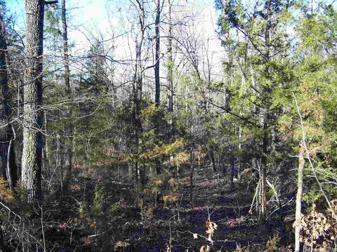 2173 Punkin Flat Rd, Marshall, AR 72650 photo 10
