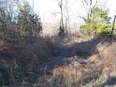 2173 Punkin Flat Rd, Marshall, AR 72650 photo 22