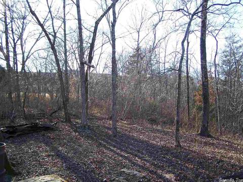 2173 Punkin Flat Rd, Marshall, AR 72650 photo 17