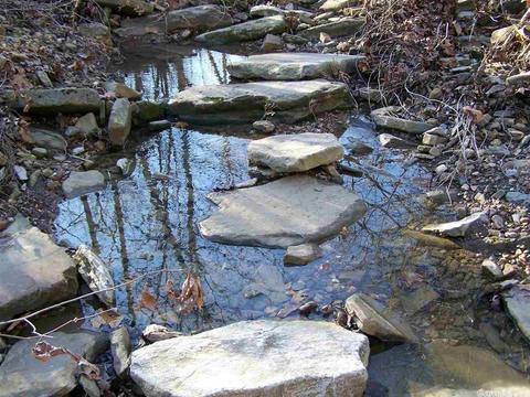 2173 Punkin Flat Rd, Marshall, AR 72650 photo 5