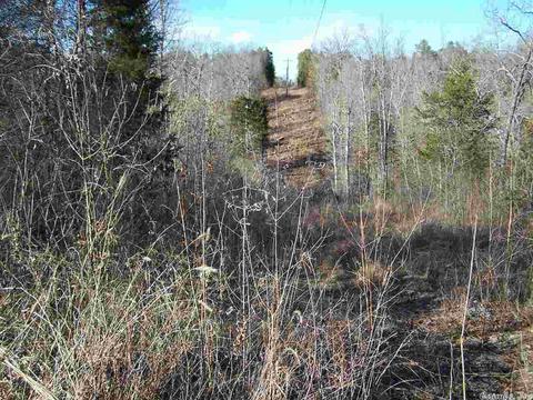 2173 Punkin Flat Rd, Marshall, AR 72650 photo 18