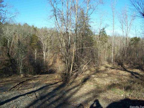2173 Punkin Flat Rd, Marshall, AR 72650 photo 20