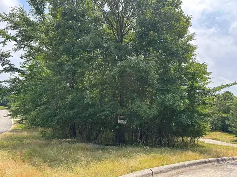 117 Dellmere Cv, Hot Springs, AR 71913
