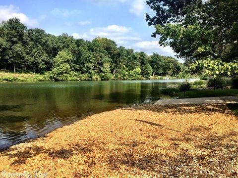 917 Sadller Falls Rd, Mammoth Spring, AR 72554 photo 14