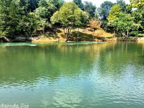 917 Sadller Falls Rd, Mammoth Spring, AR 72554 photo 22