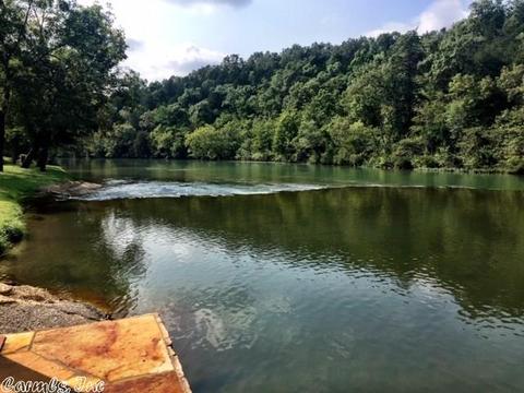 917 Sadller Falls Rd, Mammoth Spring, AR 72554 photo 23